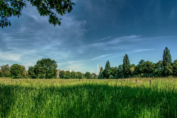 2020-05-21_glawittringen