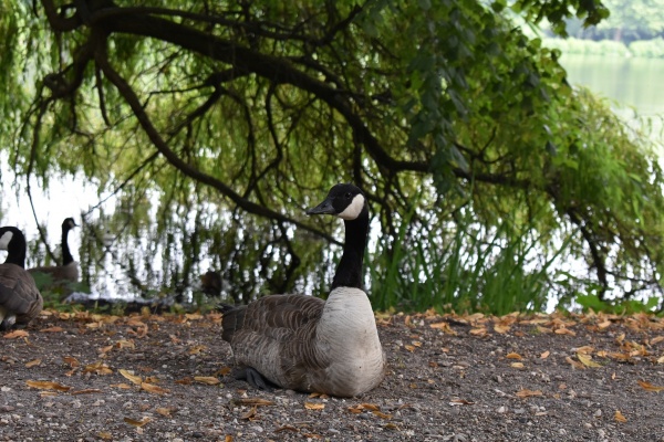 2021-01-30_nordpark